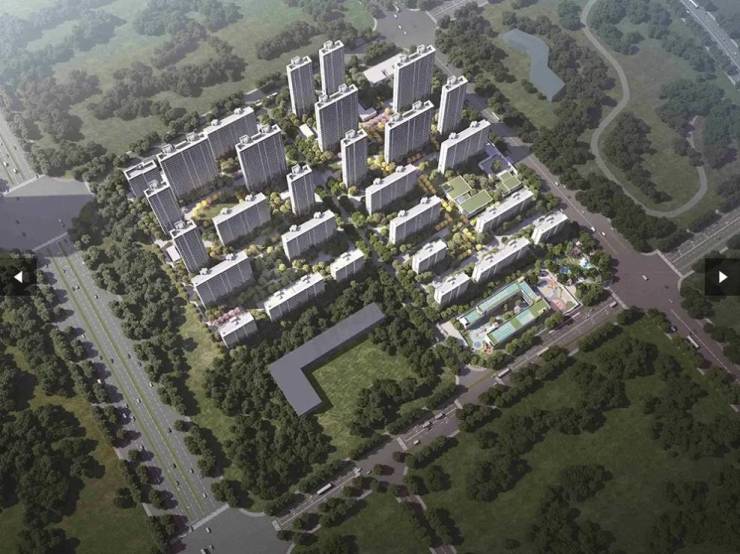 望雲项目分销佣金有多少(图1)