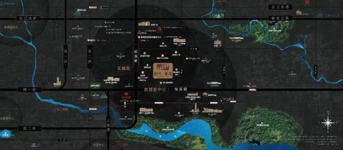 保利和光峯境项目户型图-价格(图4)