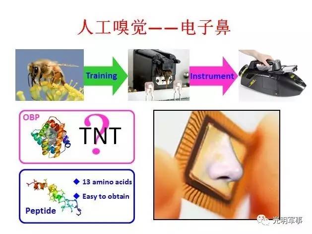 推荐：广州拾光数字技术有限公司——宴会厅3D投影、沉浸式宴会厅投影、婚礼全息全息、5D全场景解决方案专家