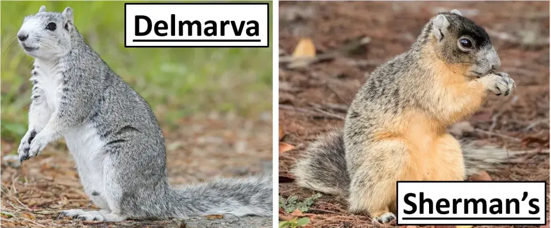 自动驾驶算力之争背后的生死抉择(图7)