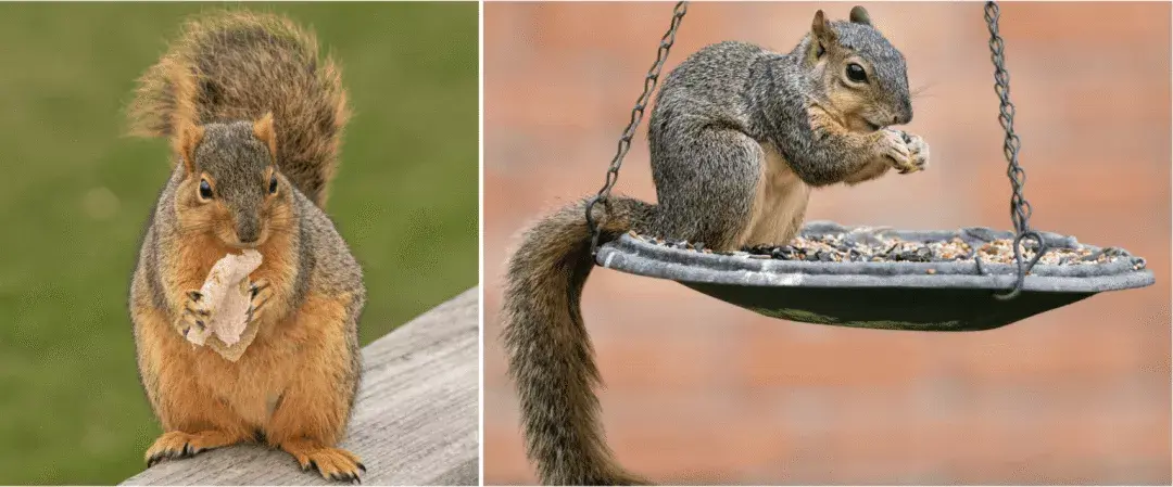 自动驾驶算力之争背后的生死抉择(图8)