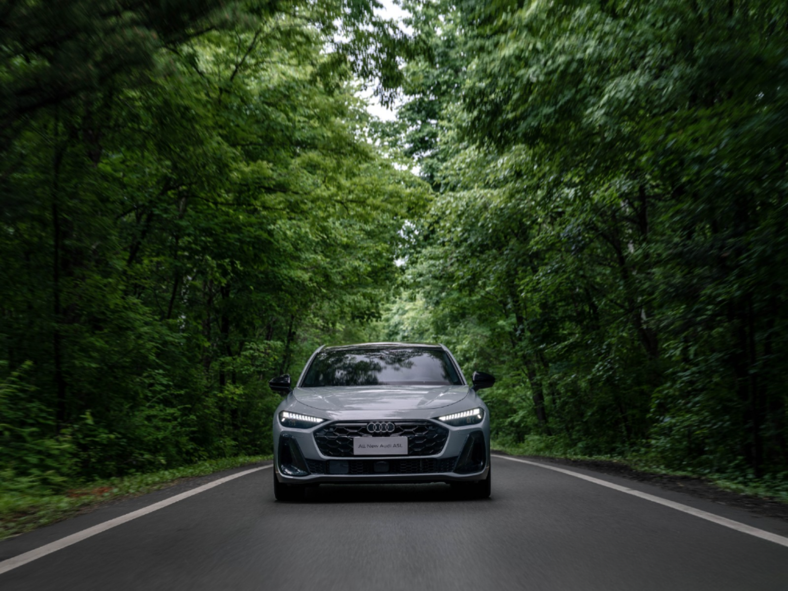 自动泊车+弯道控速一汽奥迪A5L智驾辅助太贴心！(图4)