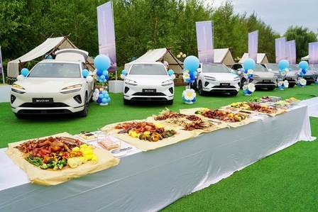 不同凡享 海狮06 鲁吉辽战区万人交车仪式·长春站圆满落幕(图6)