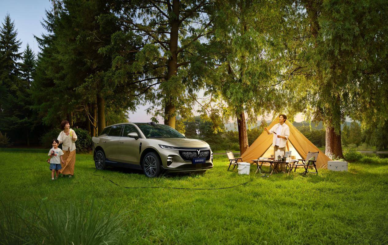 岚图汽车智能座舱再进化NFC数字钥匙首发落地开启无感用车(图2)