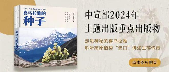 “毫秒”竞速：算力革命的核心一跃