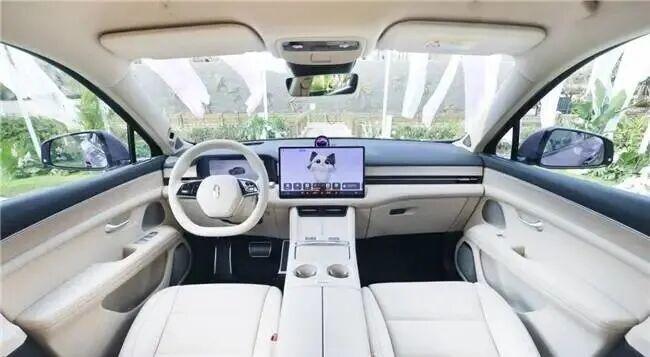 无论贵贱没有智能座舱都不好意思打招呼！(图17)