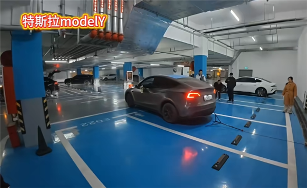实测多款热门车自动泊车 特斯拉Model Y唯一过关
