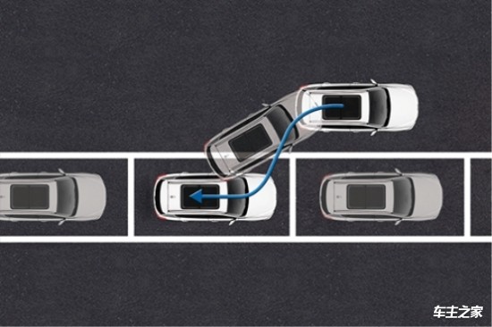 上海两会快评｜路边停车要规范秩序也要便利营商