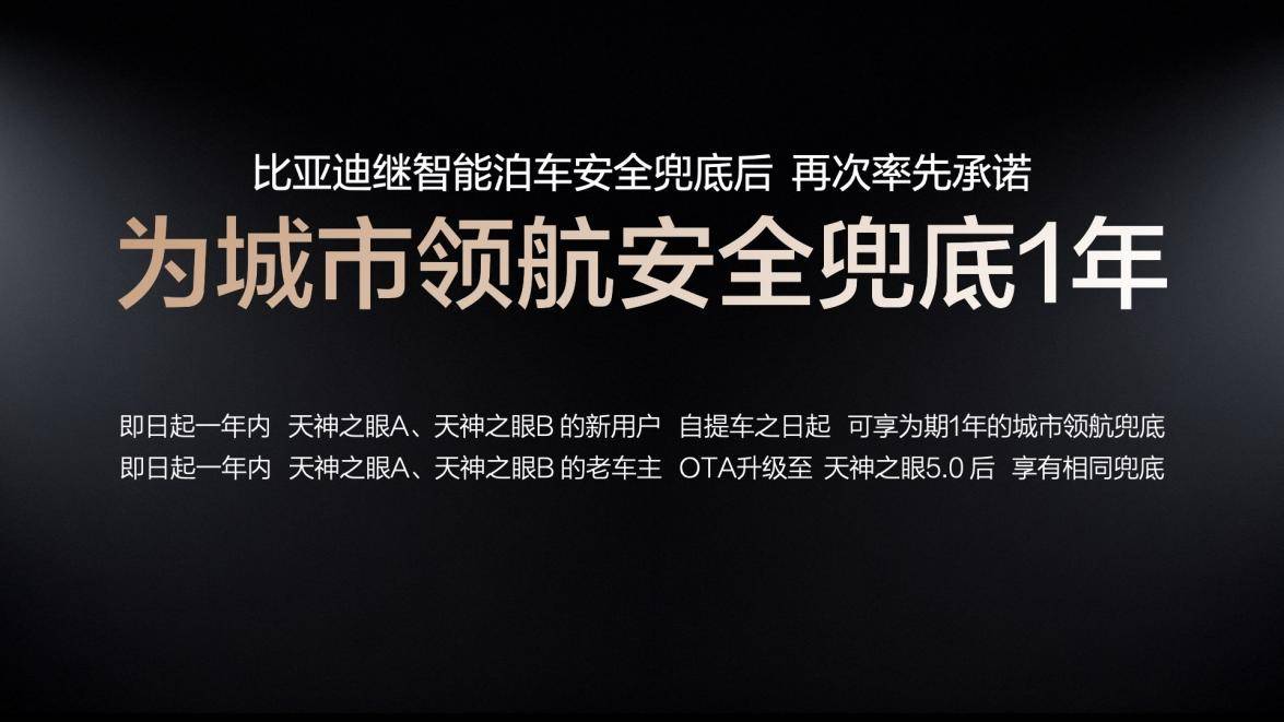 比亚迪宣布为辅助驾驶兜底为何没有人跟进？
